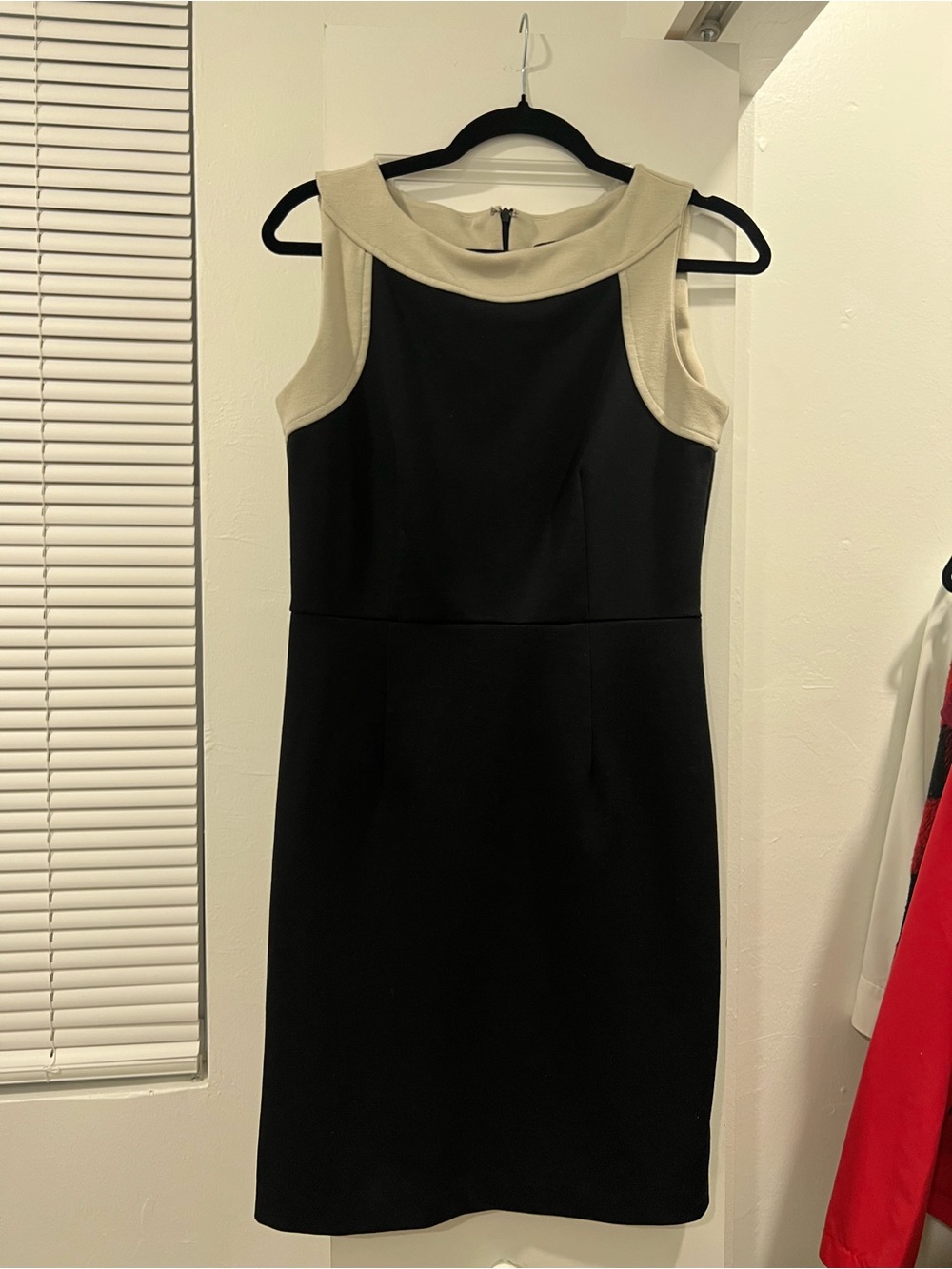 Dana Buchman Black Dress with Cream Trim